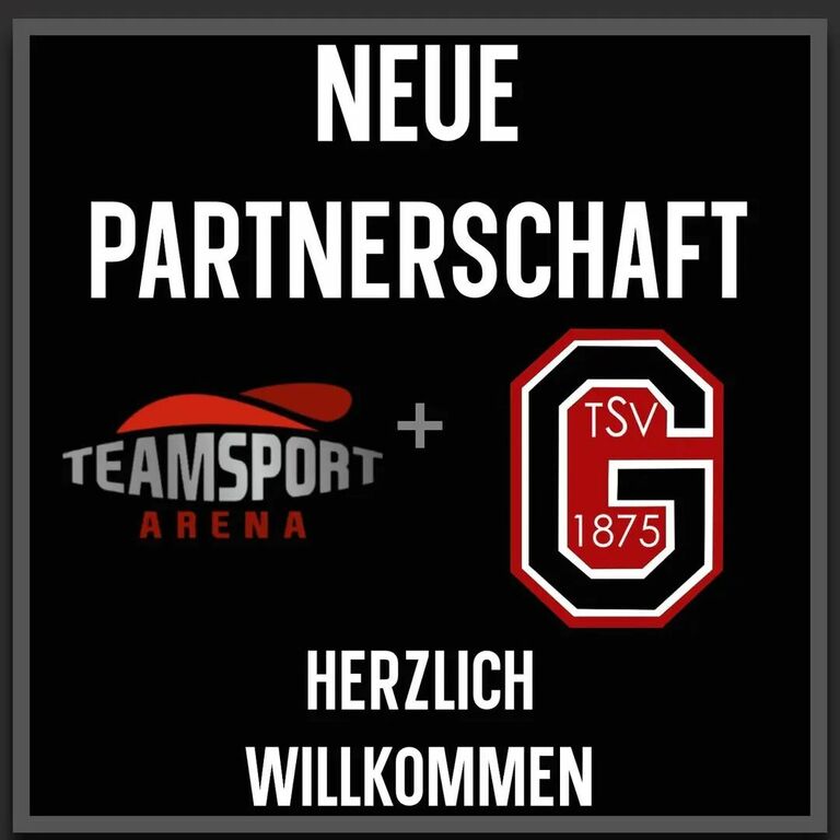Teamsportarena